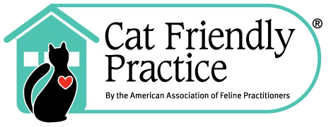 Cat Friendly Practice 1