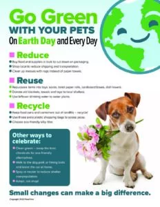 Go Green With Your Pets