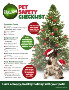 Pet Safety Checklist