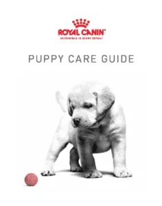 Puppy Care Guide