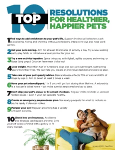 Top 10 Resolutions For Healthier Happier Pets