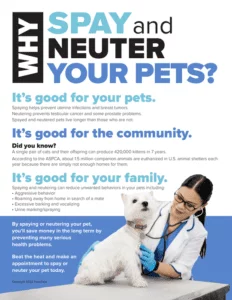 Why Spay Neuter Your Pets