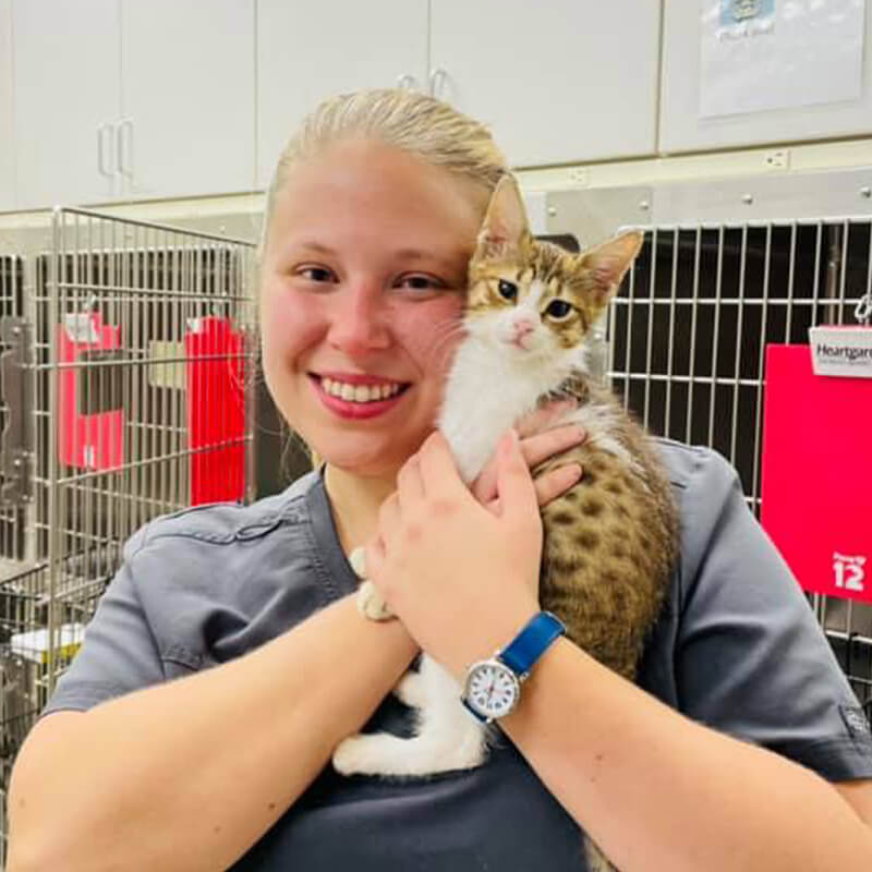 Pet DropOff Service Tiger Tails Animal Hospital