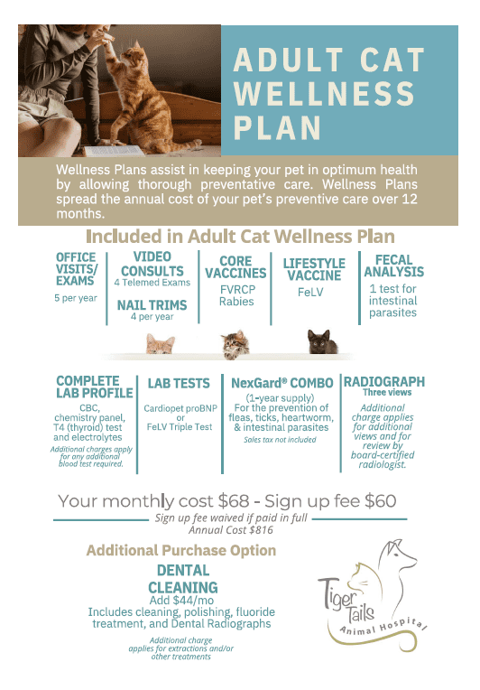 Adult Cat Wellness Plan 8.2025