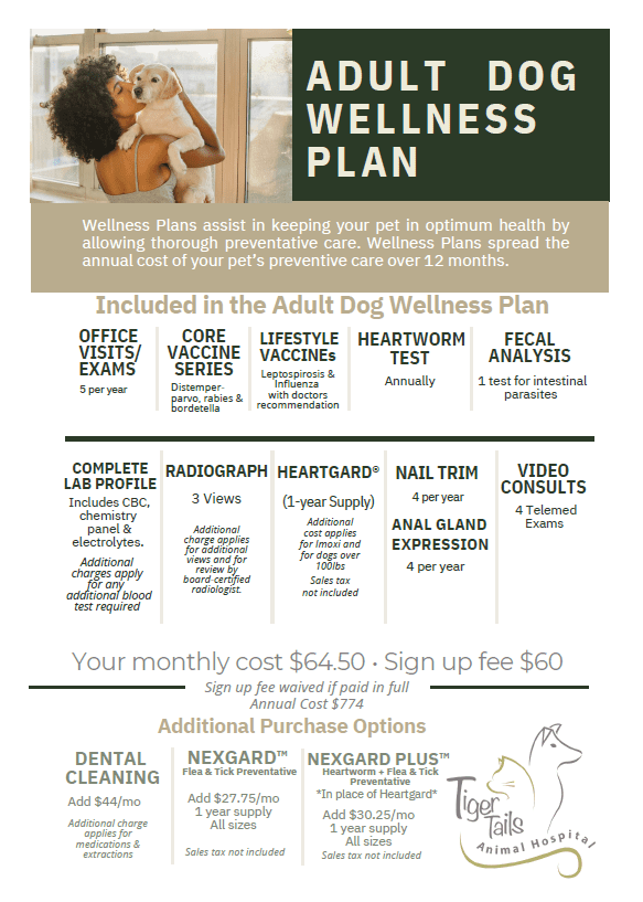 Adult Dog Wellness Plan Info 8.2025