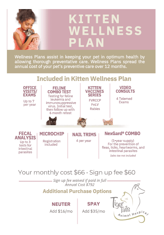 Kitten Wellness Plan 8.2025