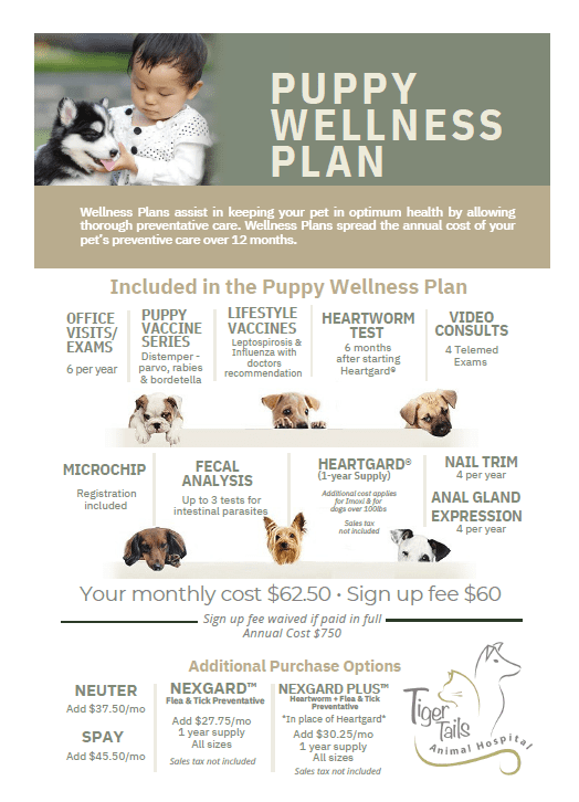 Puppy Wellness Plan brochure with information