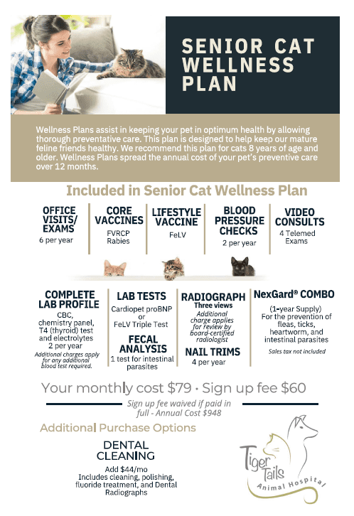 Senior Cat Wellness Plan 8.2025