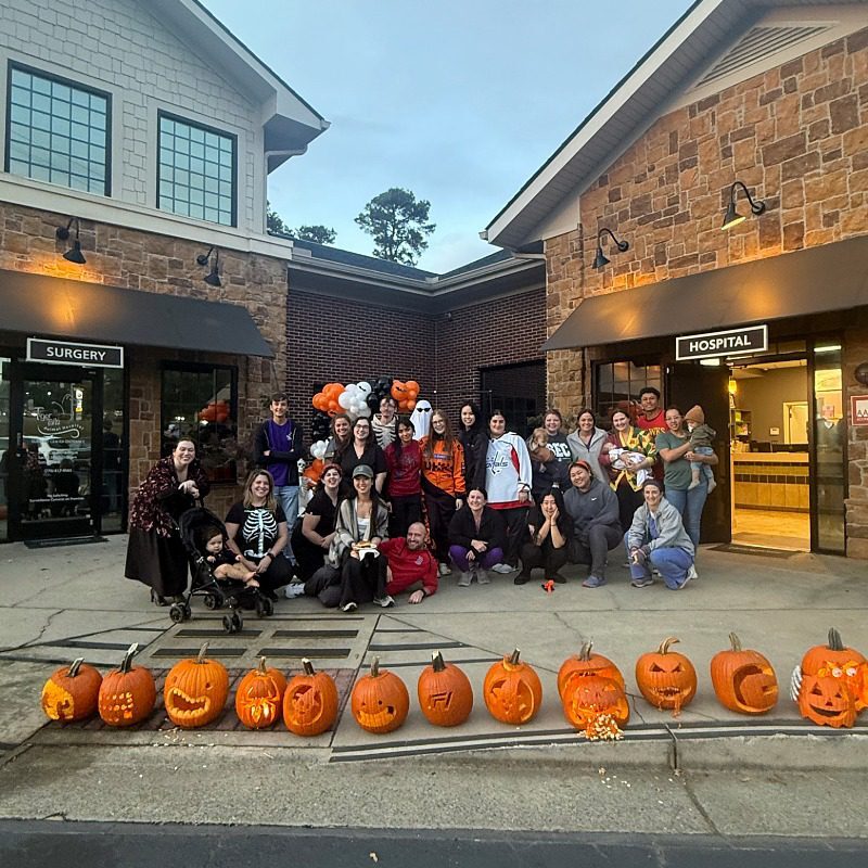 Team standing in front of carved pumpkins