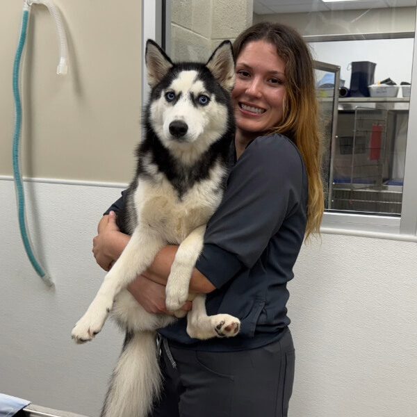 Female with long brown hair holding a large husky