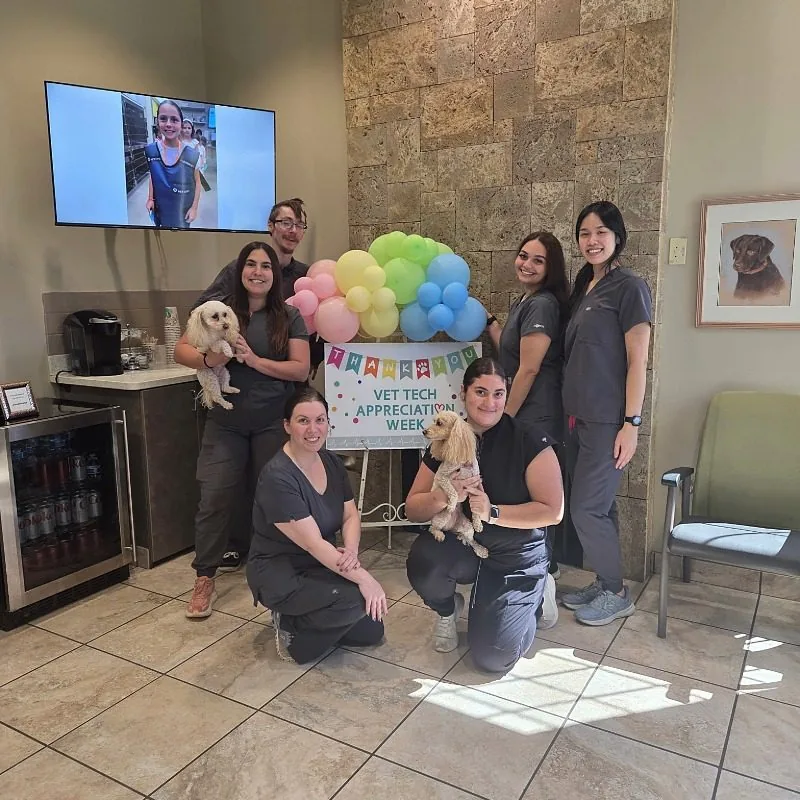 Vet Tech Appreciation Week group photo